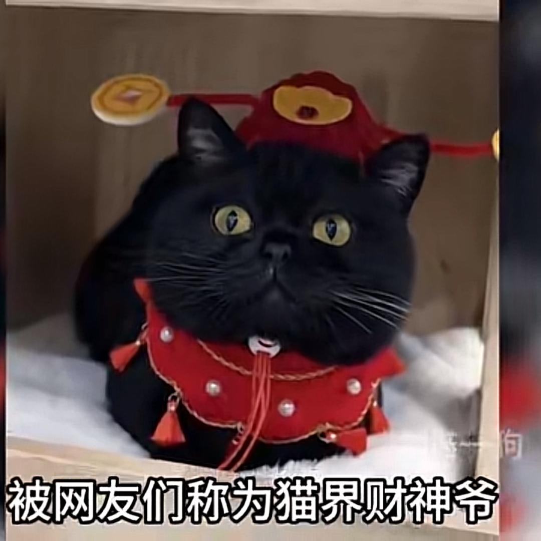 奋斗江湖