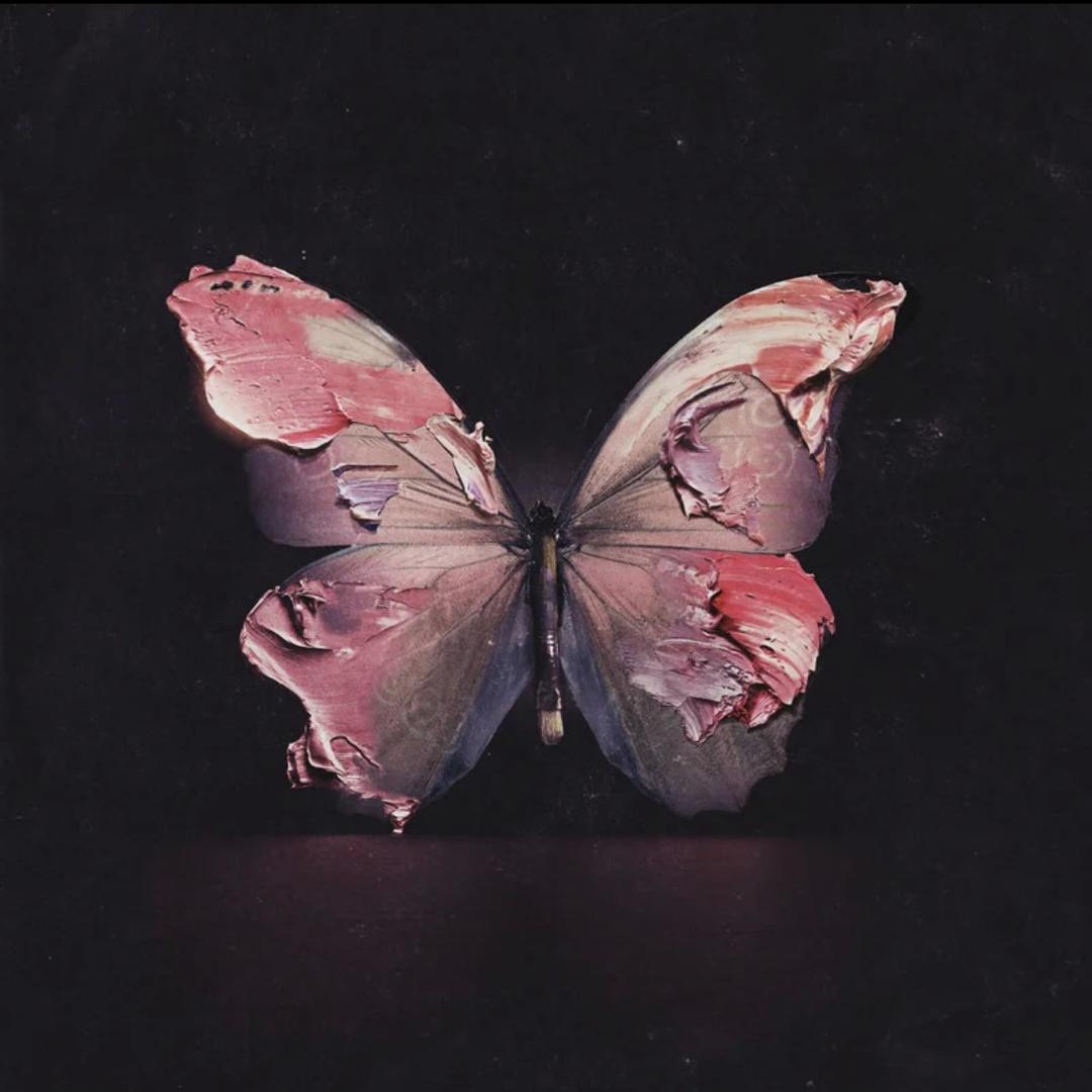 🌙