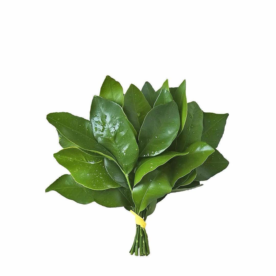 美女不⁷饭