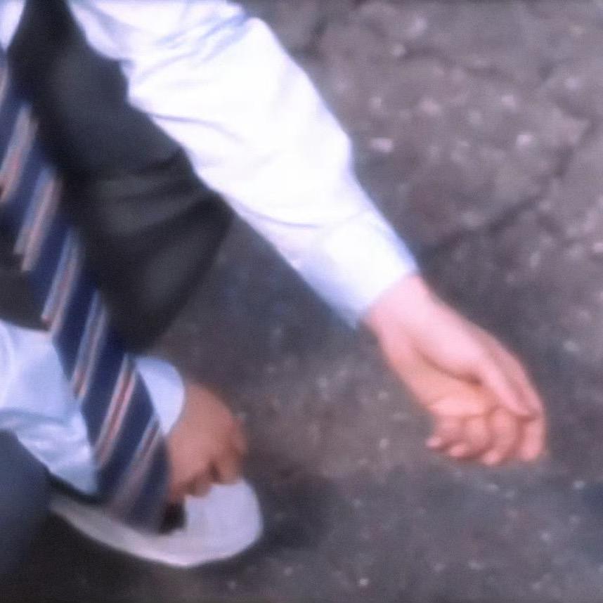 顾千树