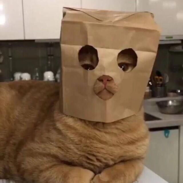 YCN