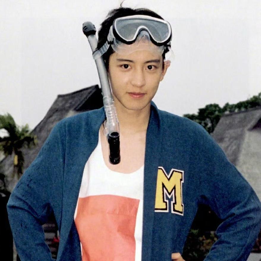 我狗也太萌