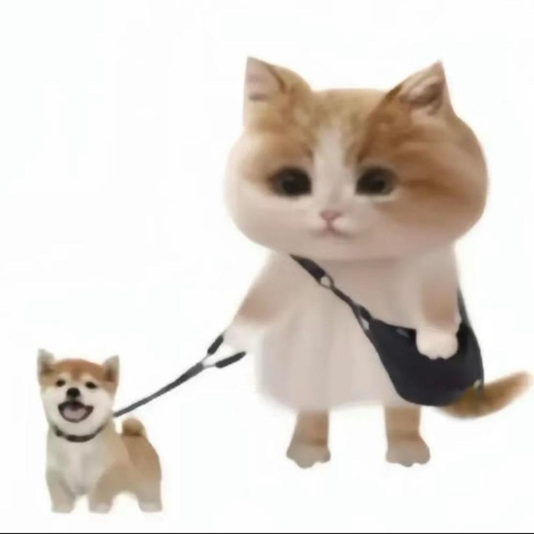 我睡觉时不困