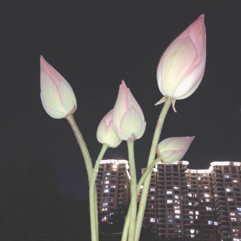 Because of U