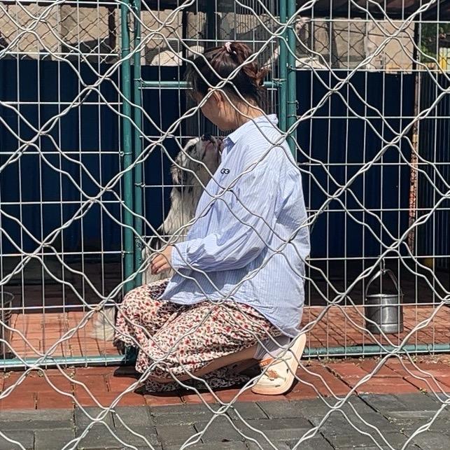 陨石边牧小六一