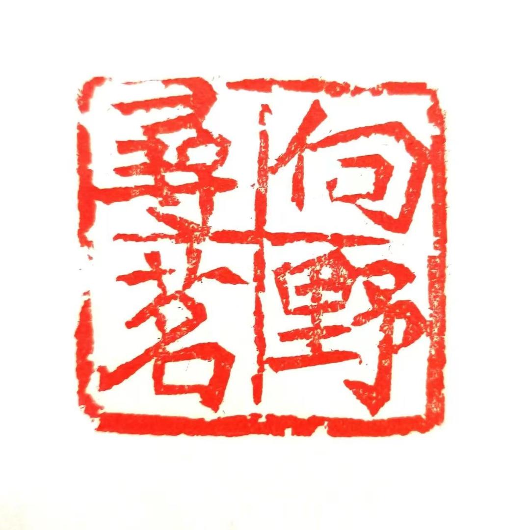 云上茶叶