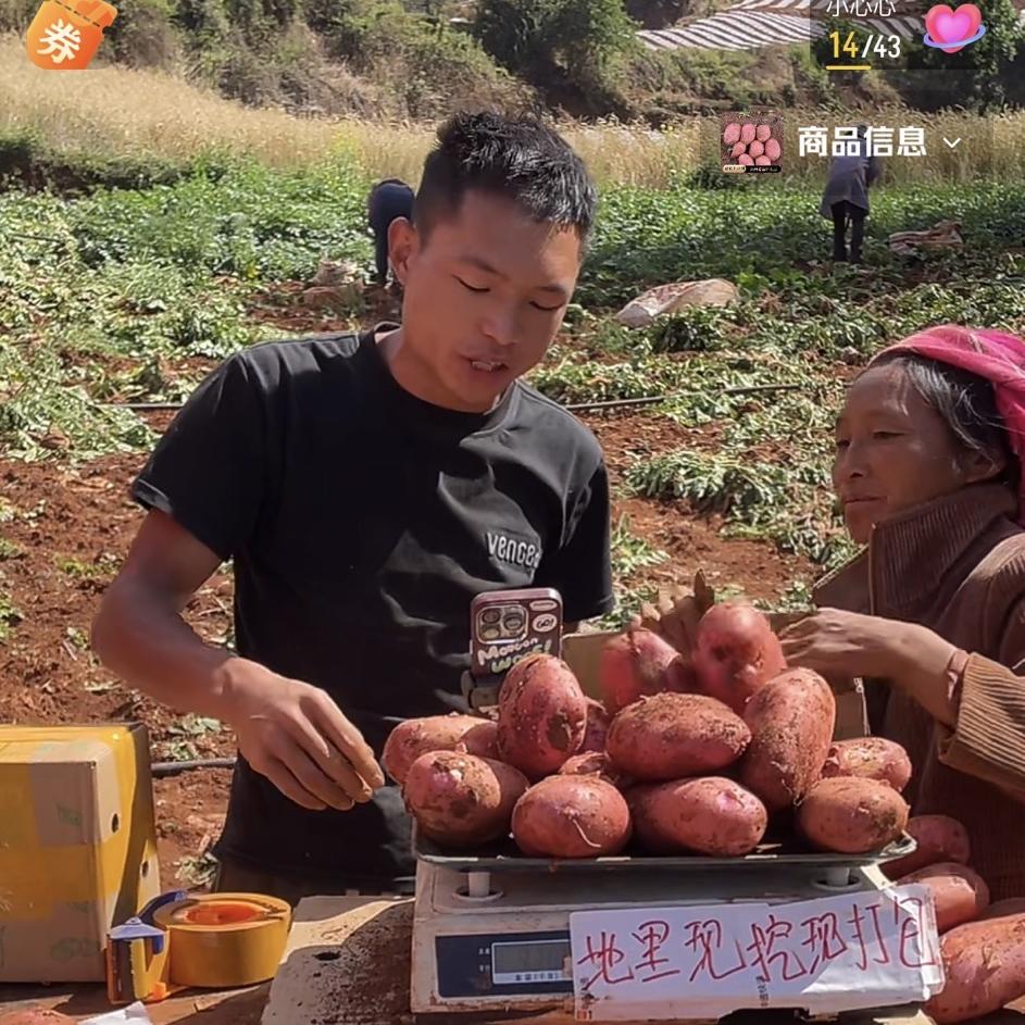 小李家农产品(益农土豆园)