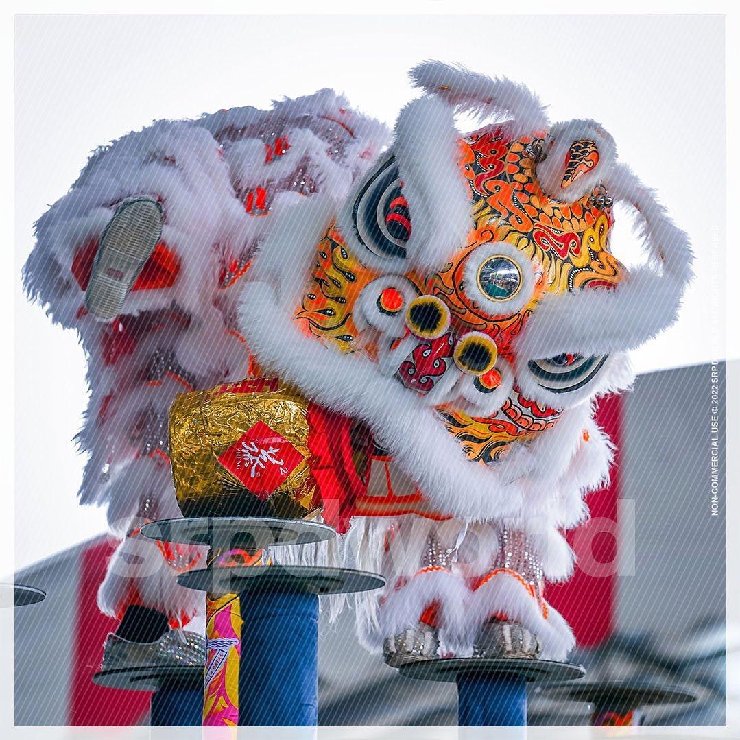 勝龍武術龍獅團@睿🇨🇳