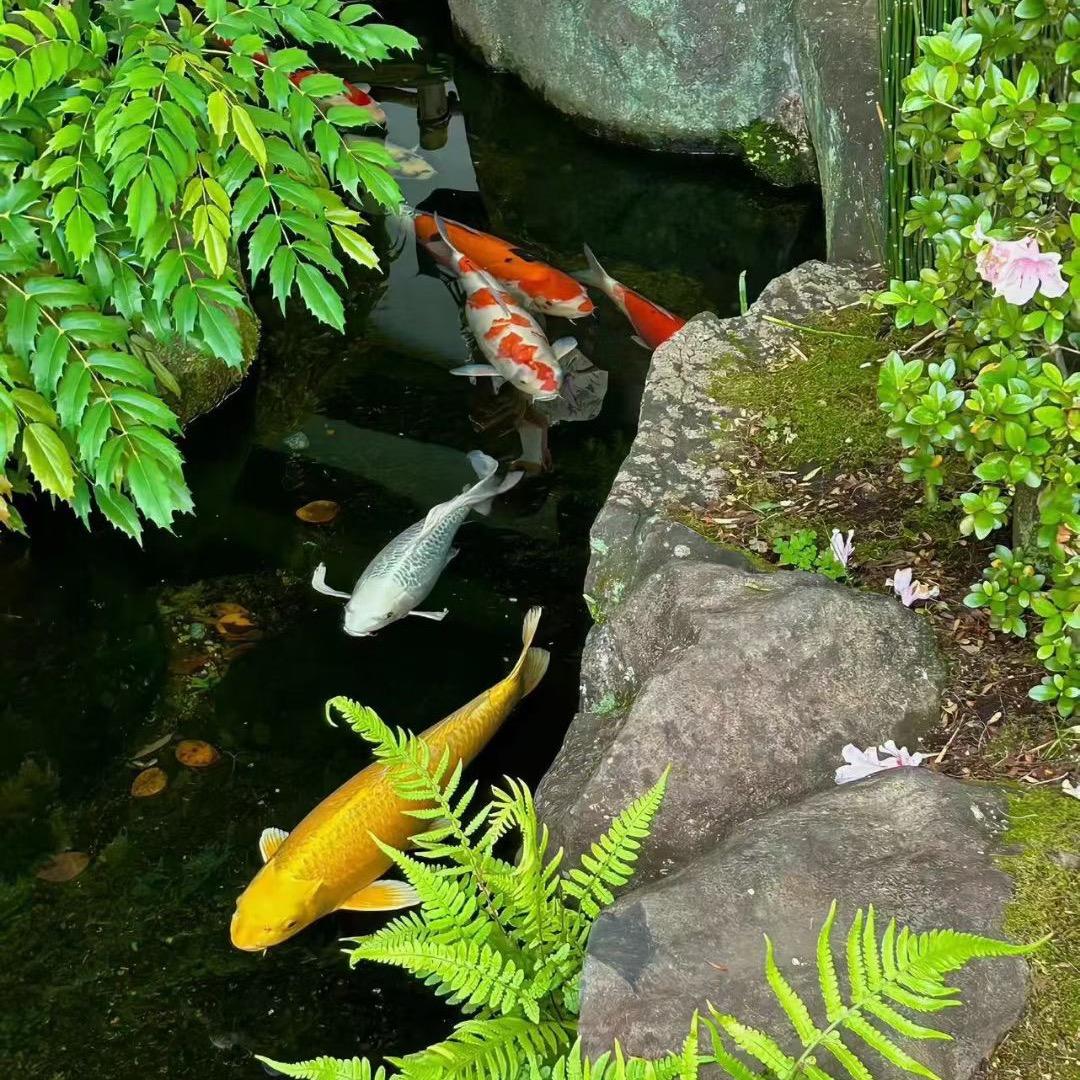 明镜止心