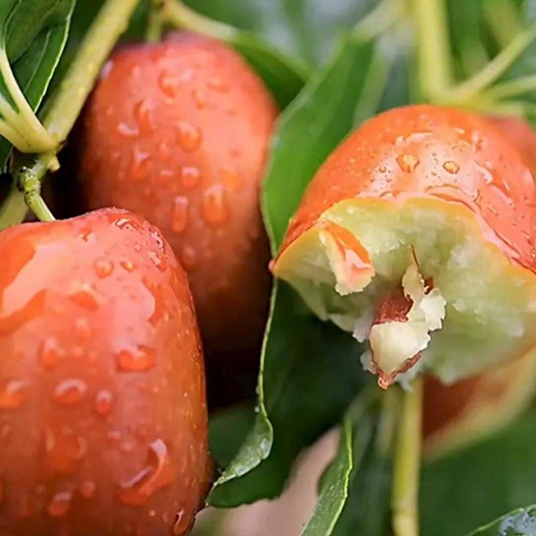 鑫新生鲜水果小铺