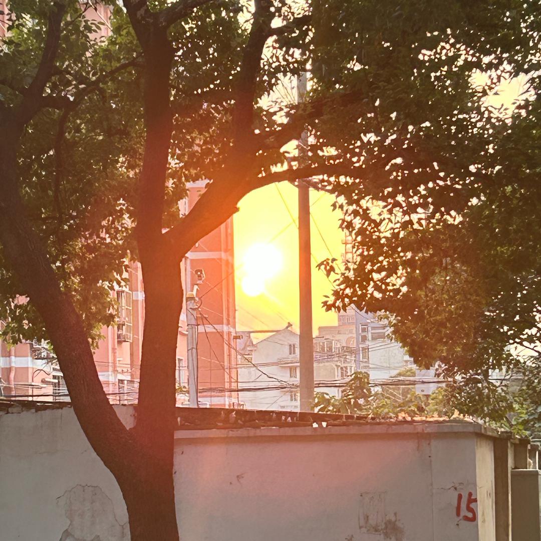 …你好