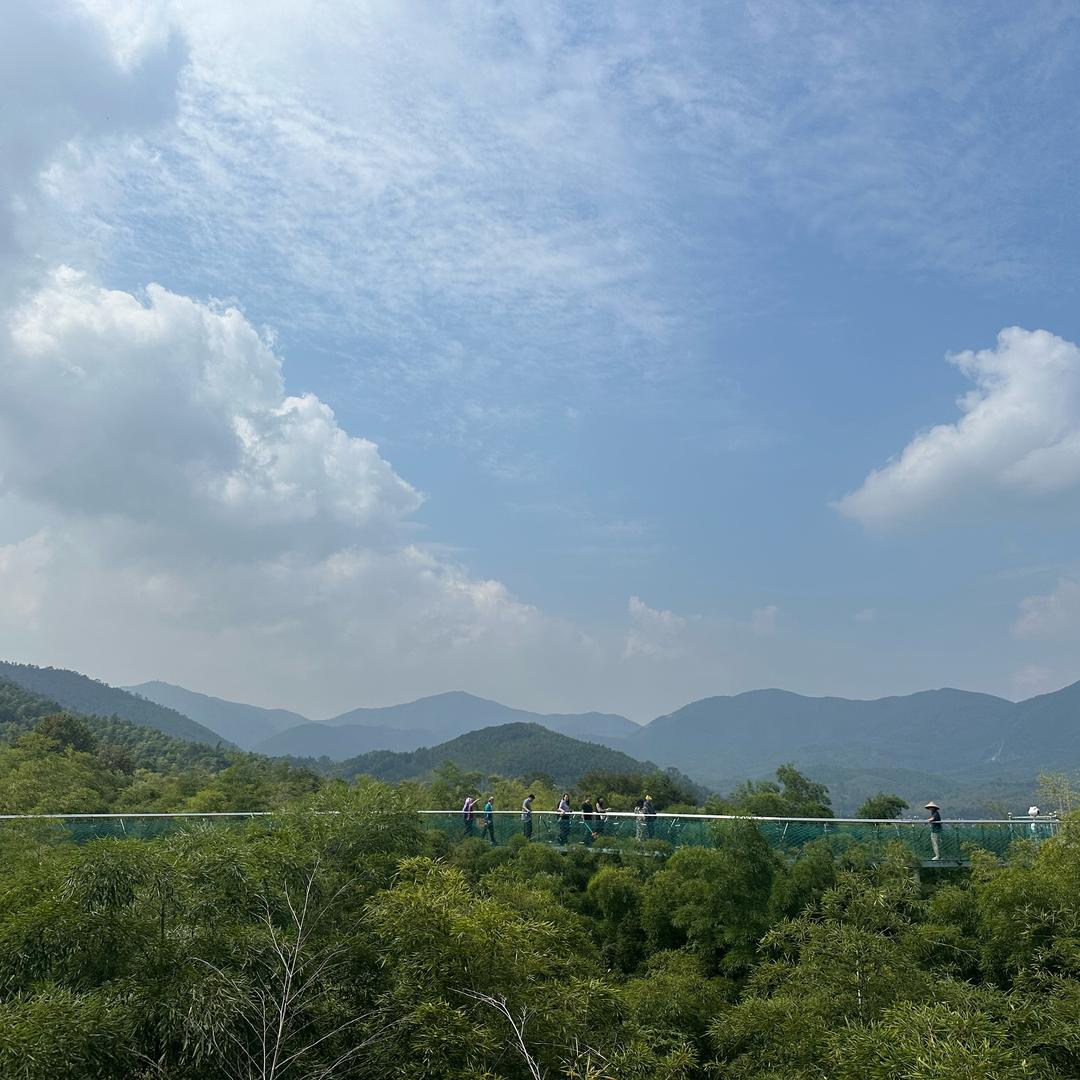几曲几折几重逢