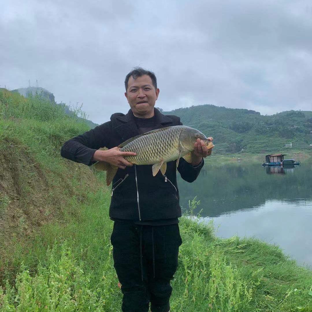 钓鱼李