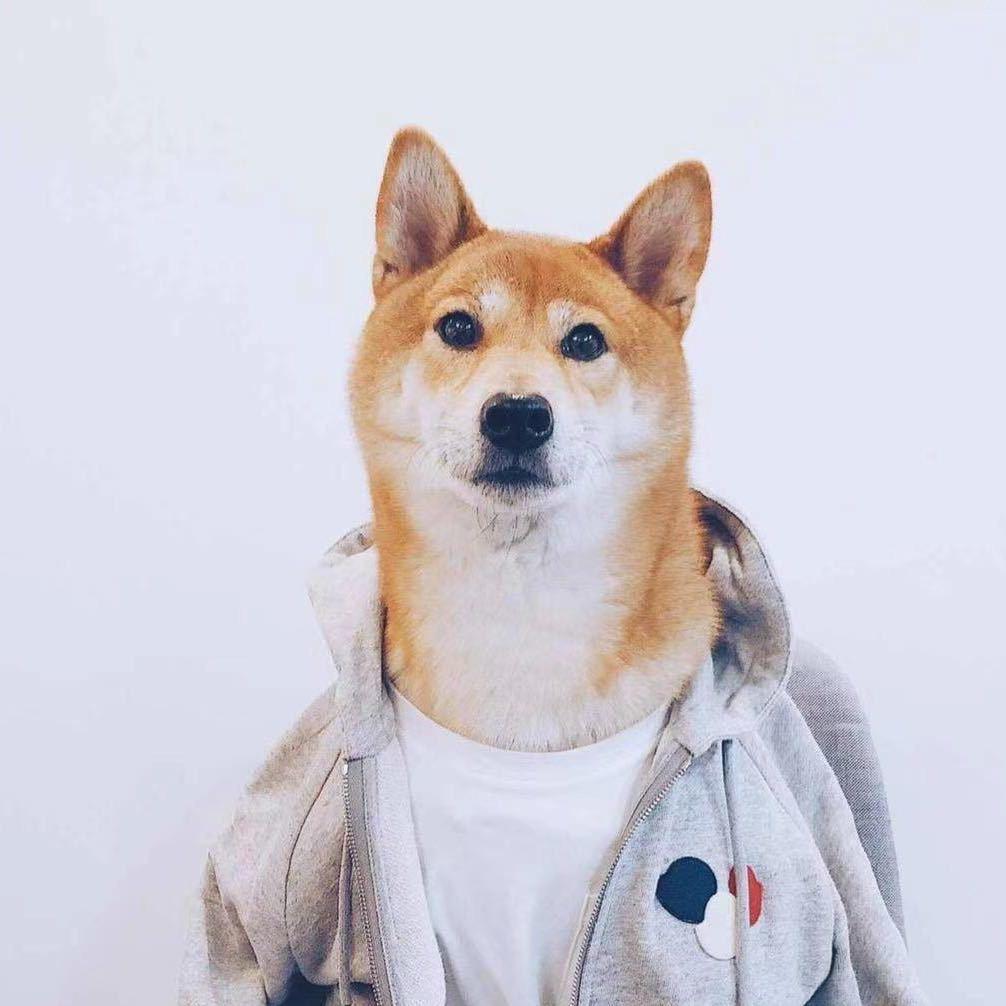 活着是真特么烦