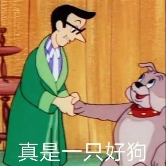 小B酱儿