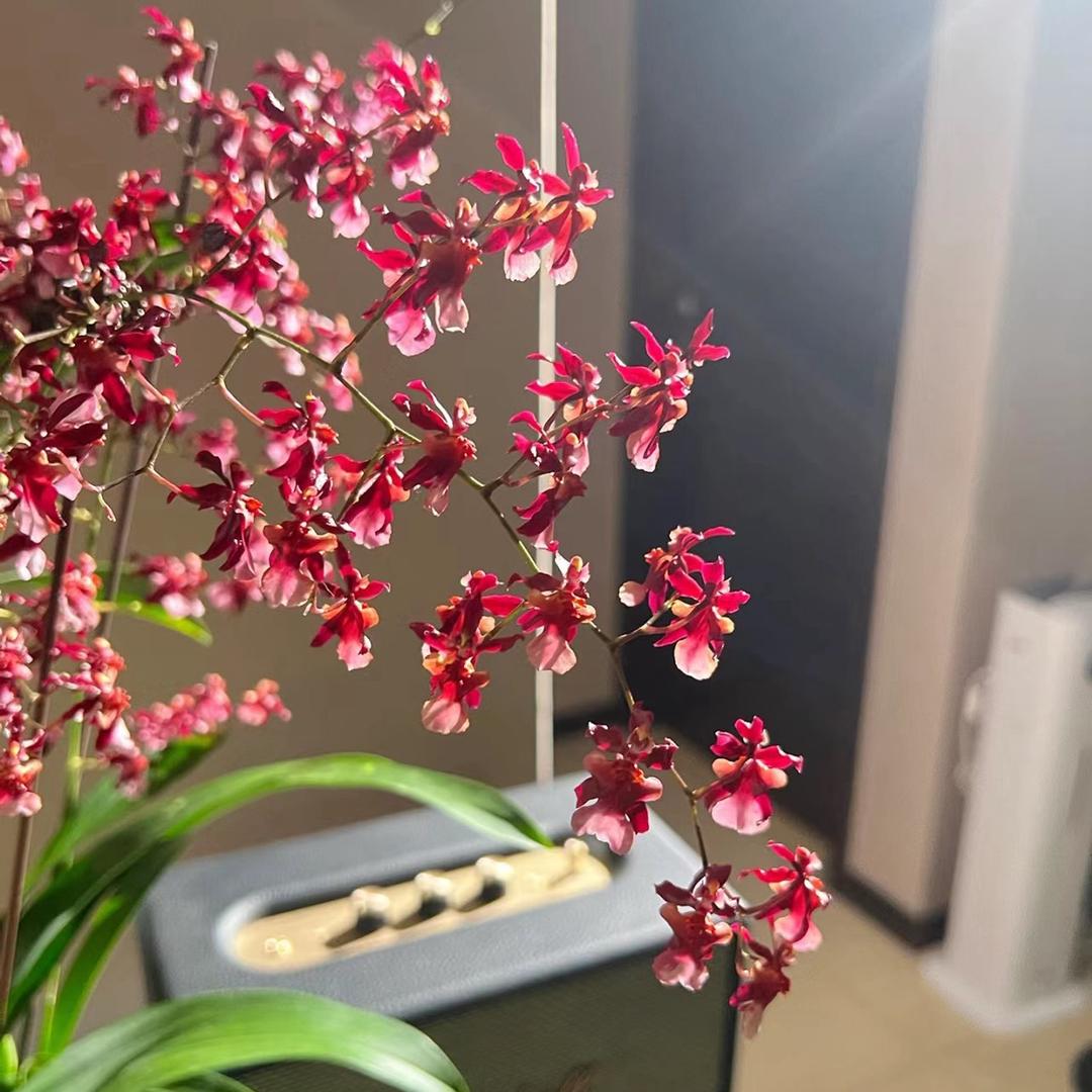 美好生活花园仓