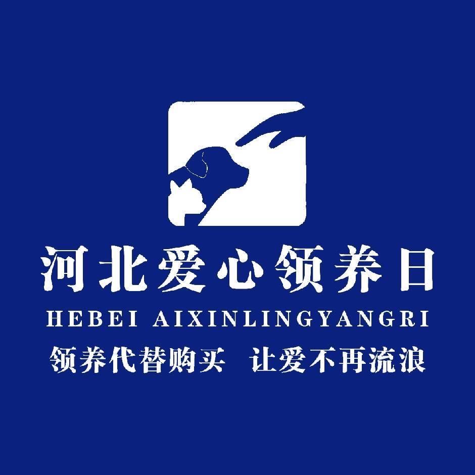 青衣