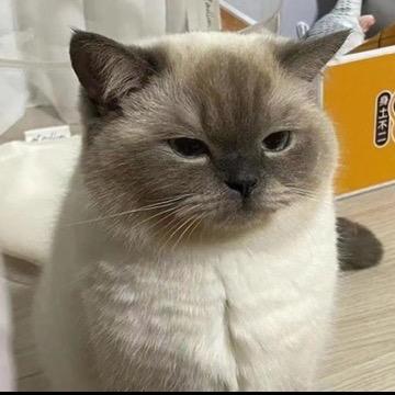 喻碧曼百货店