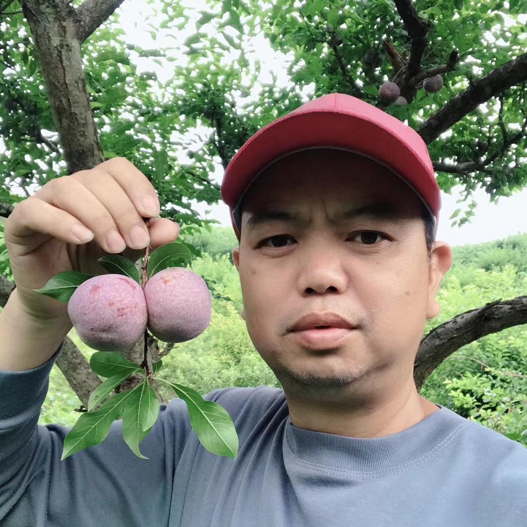 信宜新农人～ 钱排继哥