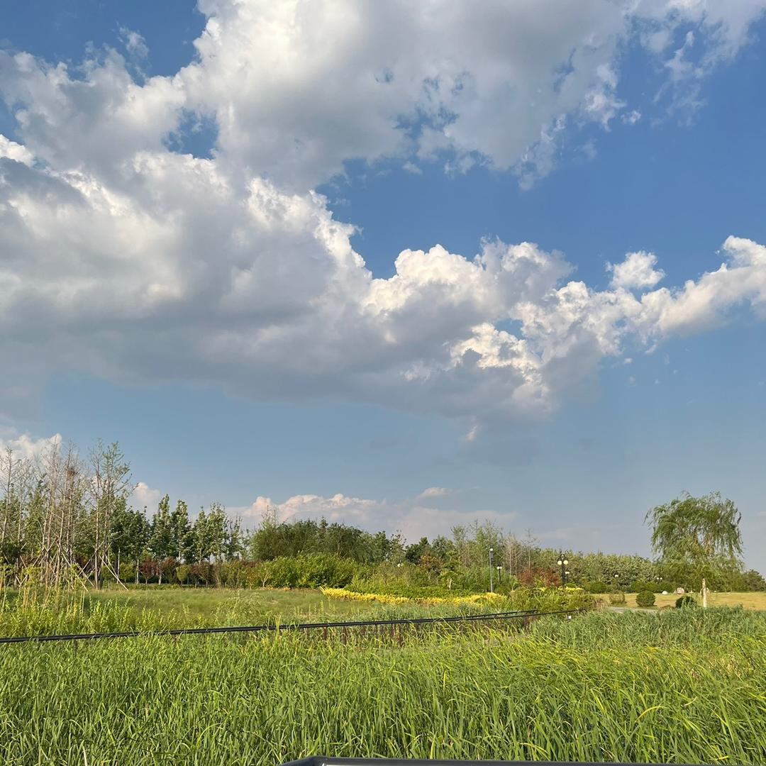 五常大米 稻花香农场