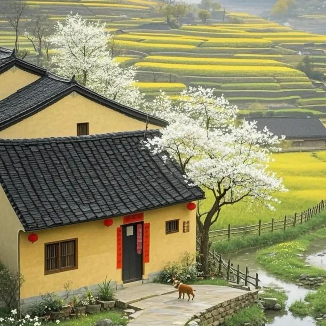 都覃的花花草草