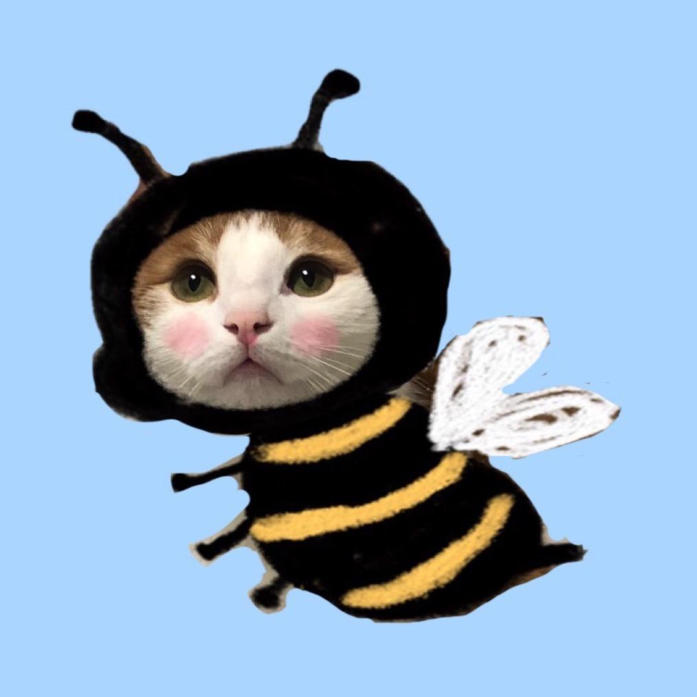 安咩咩