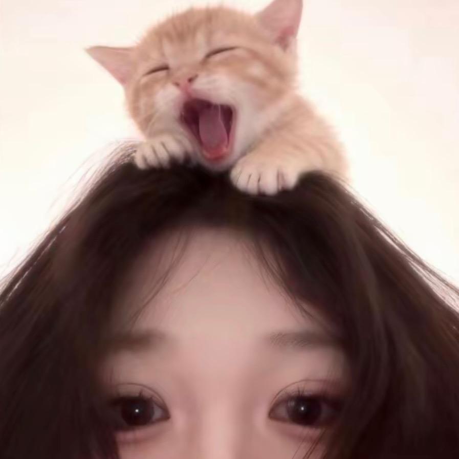 yiyi伊伊