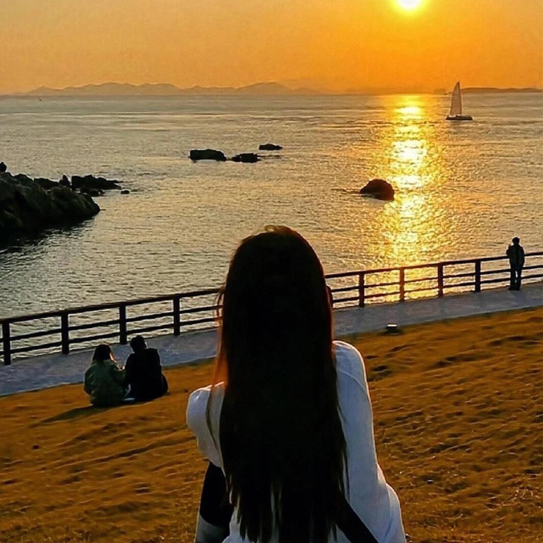 蒙娜李傻