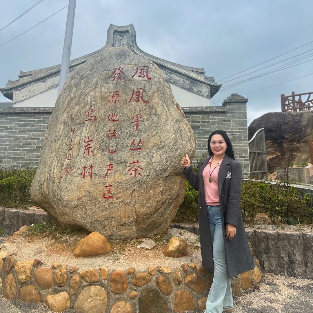 珠珠凤凰单枞批发（潮汕人）