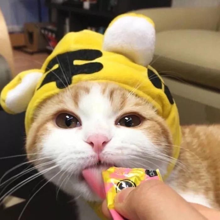 运城贝贝