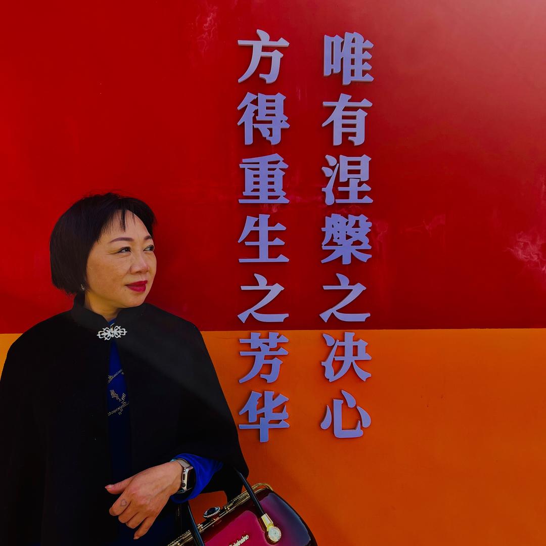 岚姐重生