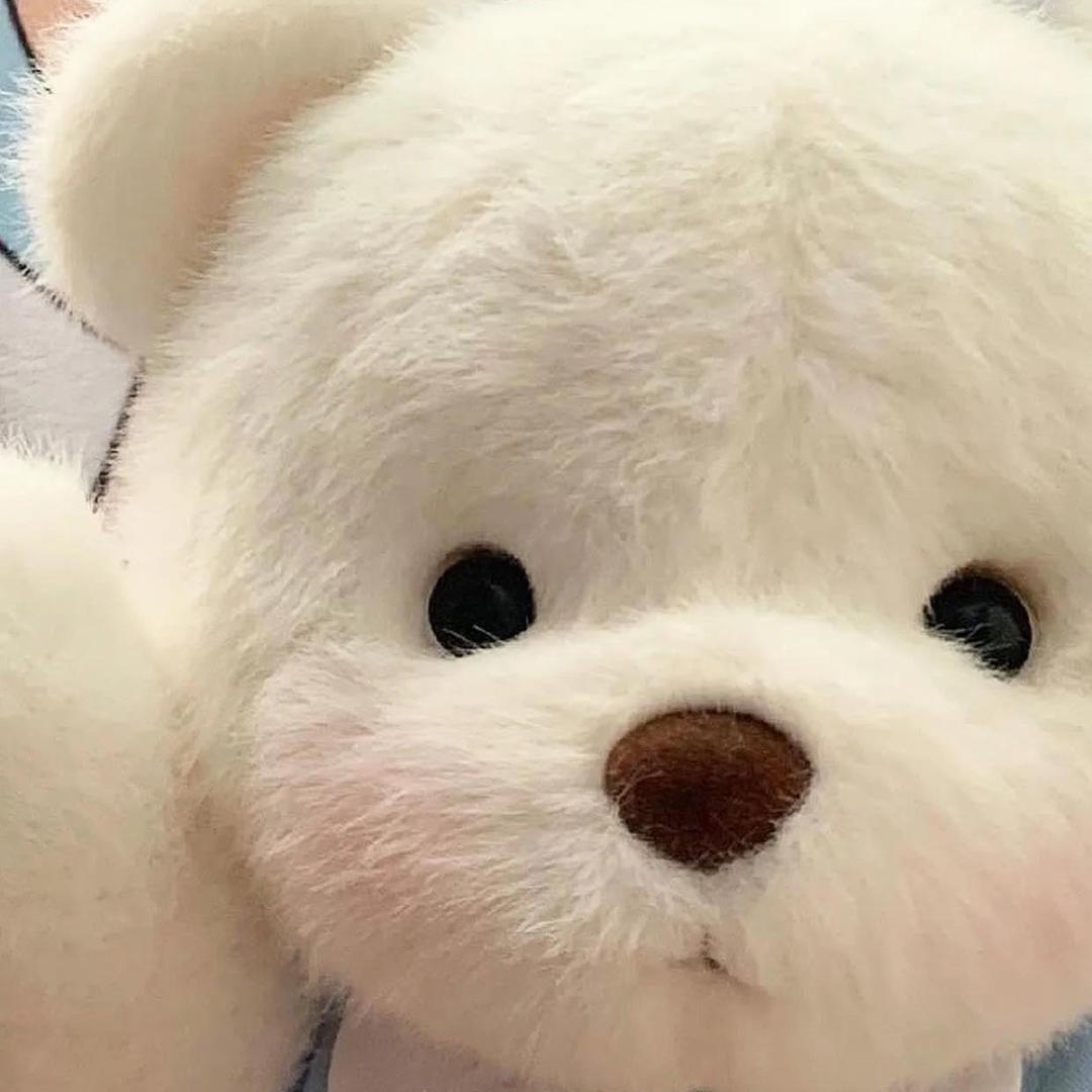 Bear.