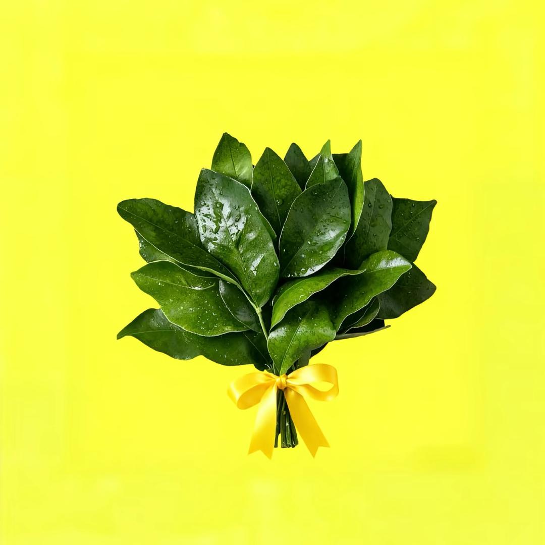 A可乐