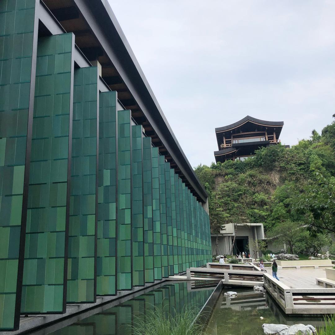 疾风知劲草