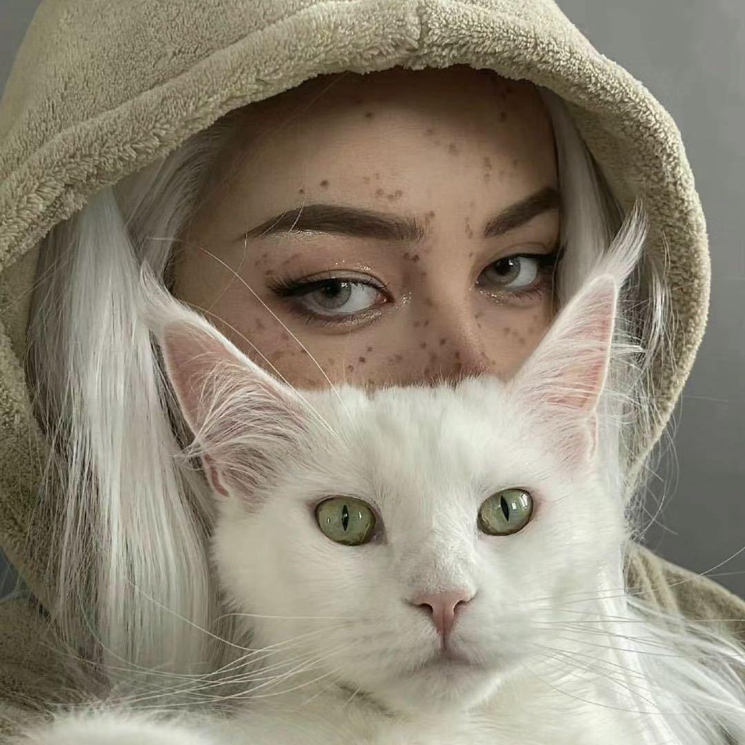 @𝓚𝓮𝓐𝓪𝓲