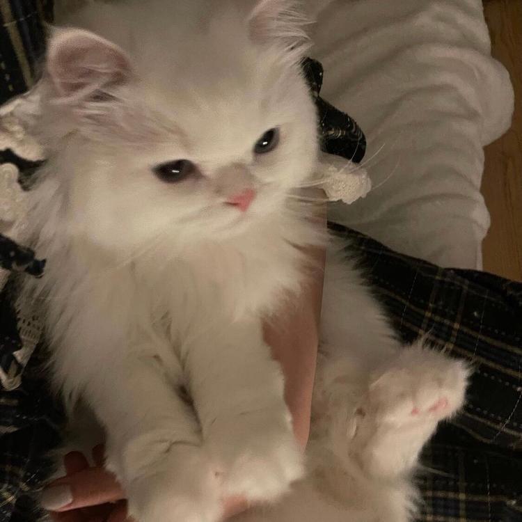 我是小力气@抖音