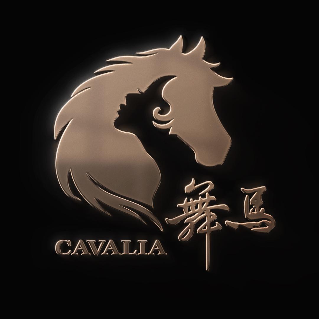 舞马秀