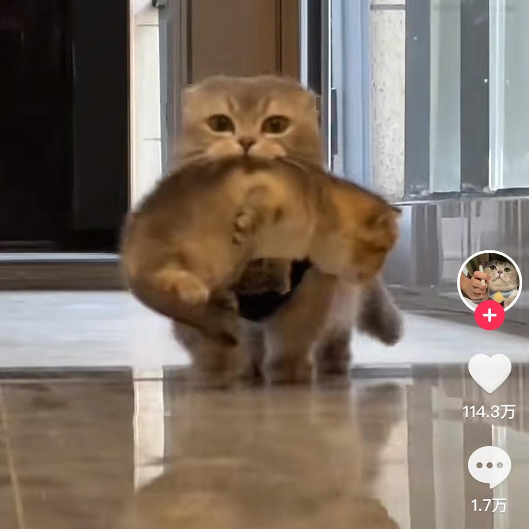 小熊🐻