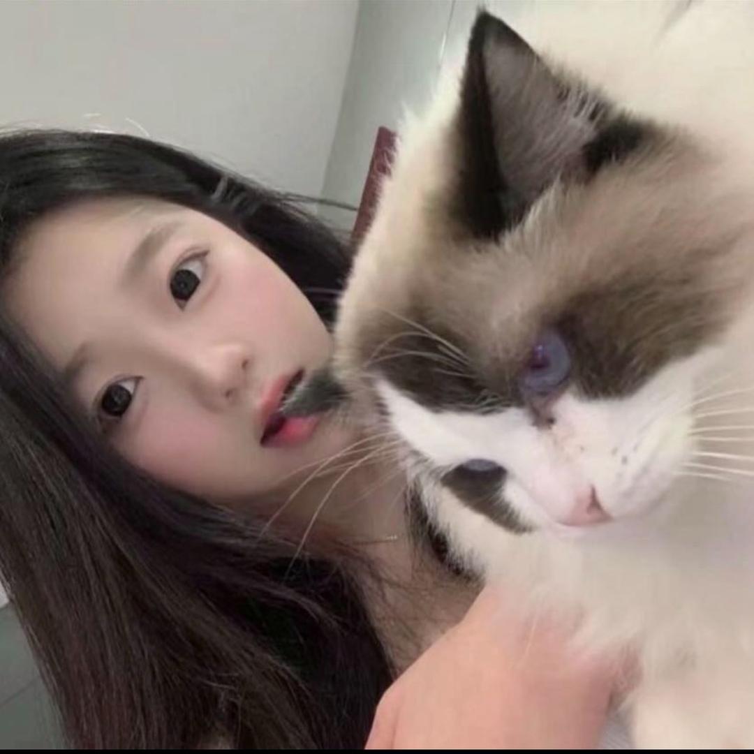 灿