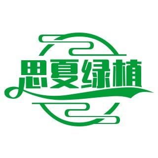 思夏花卉绿植