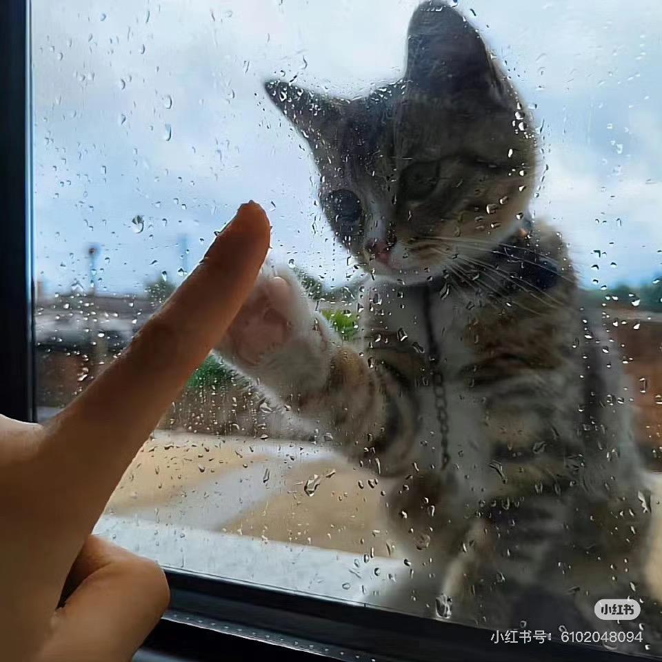 吃的舒服哈哈
