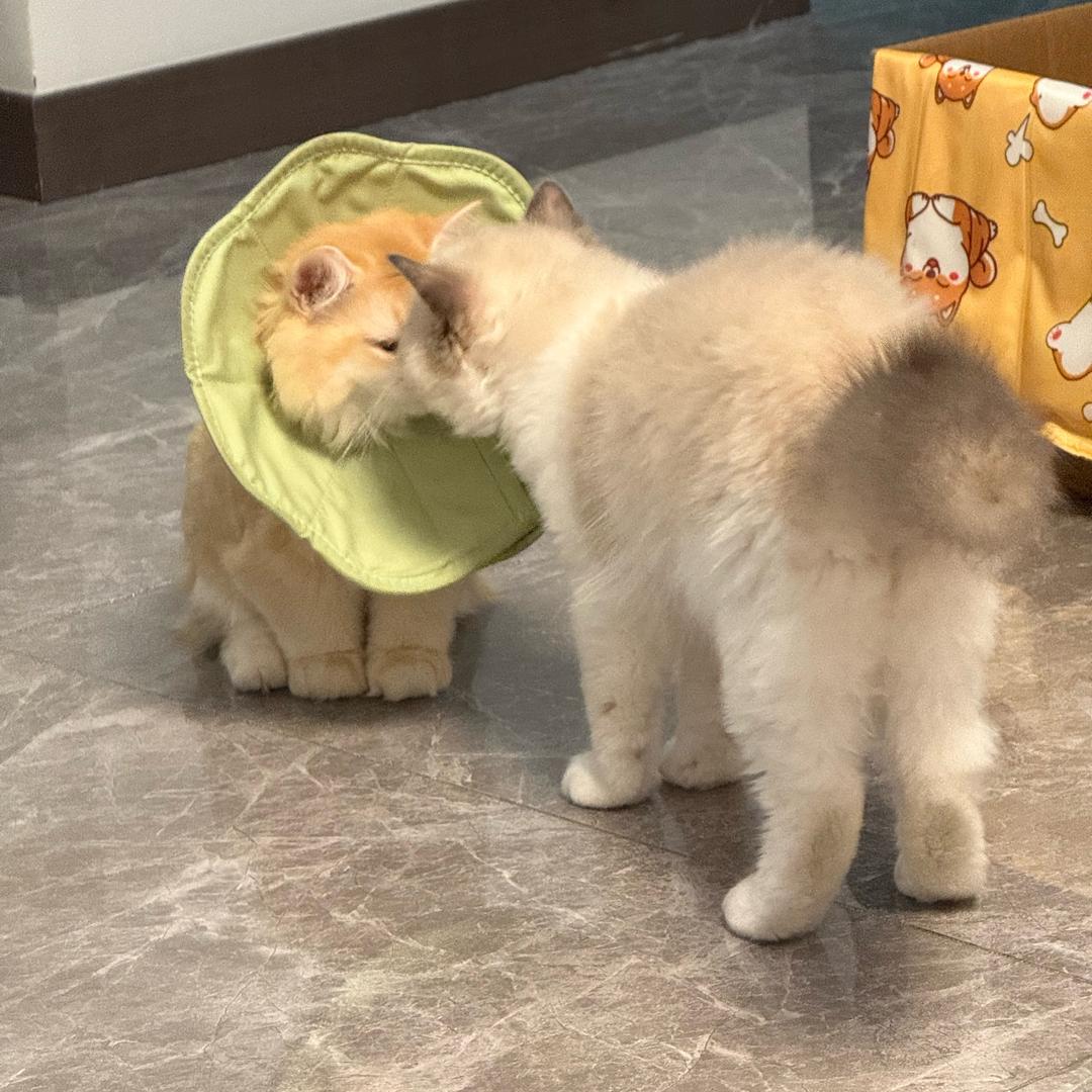 八九