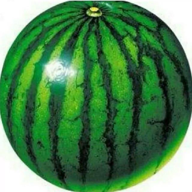 动感小西瓜🍉