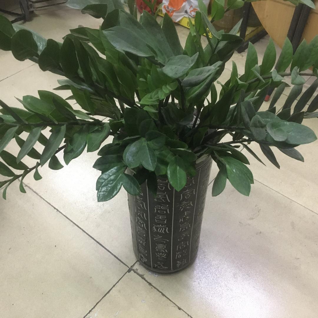 加油。年青人