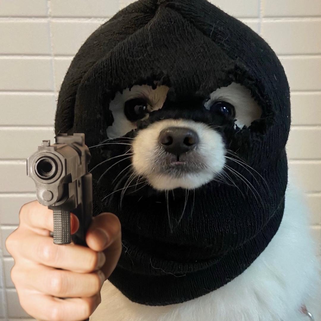 苏明财
