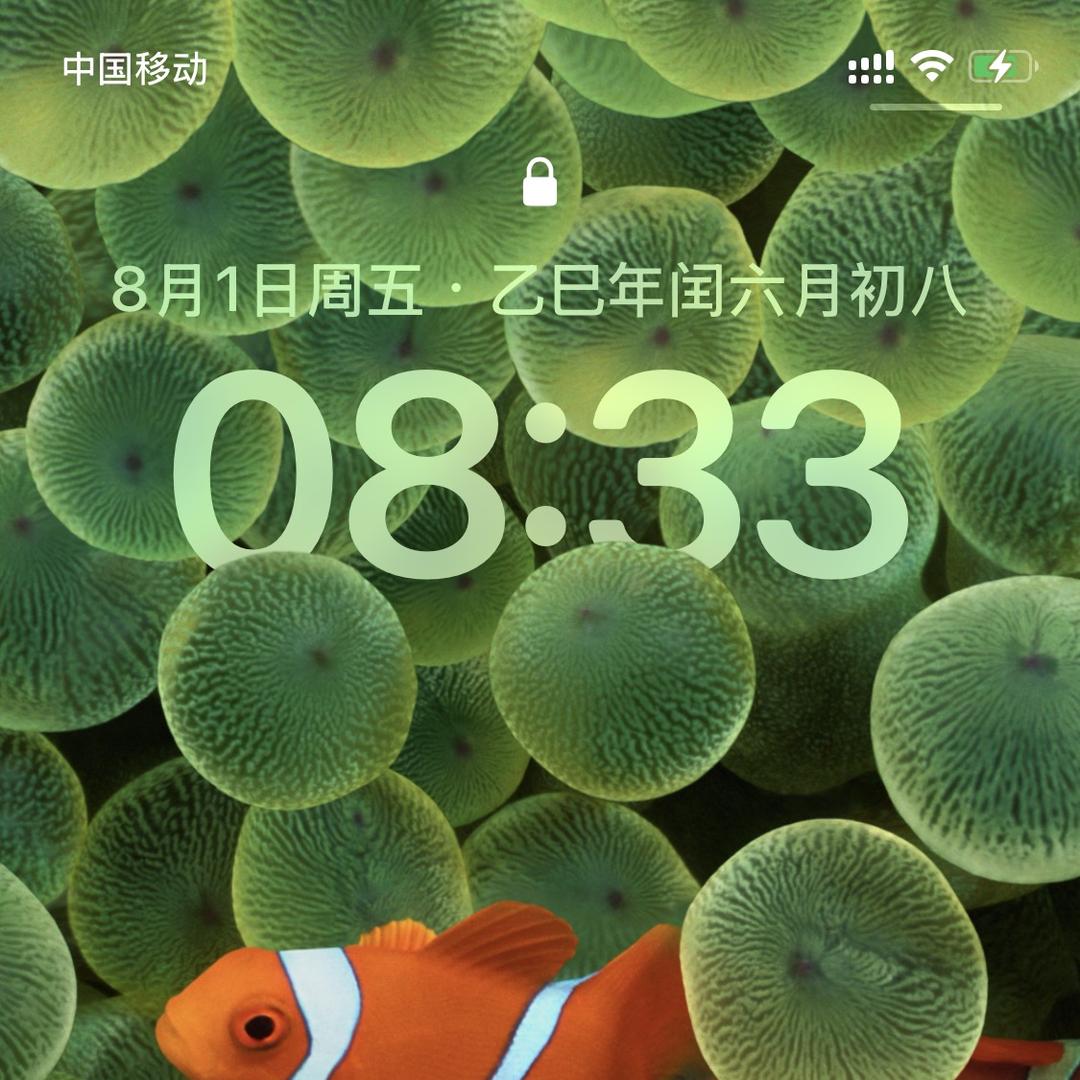 内衣内裤优品小店