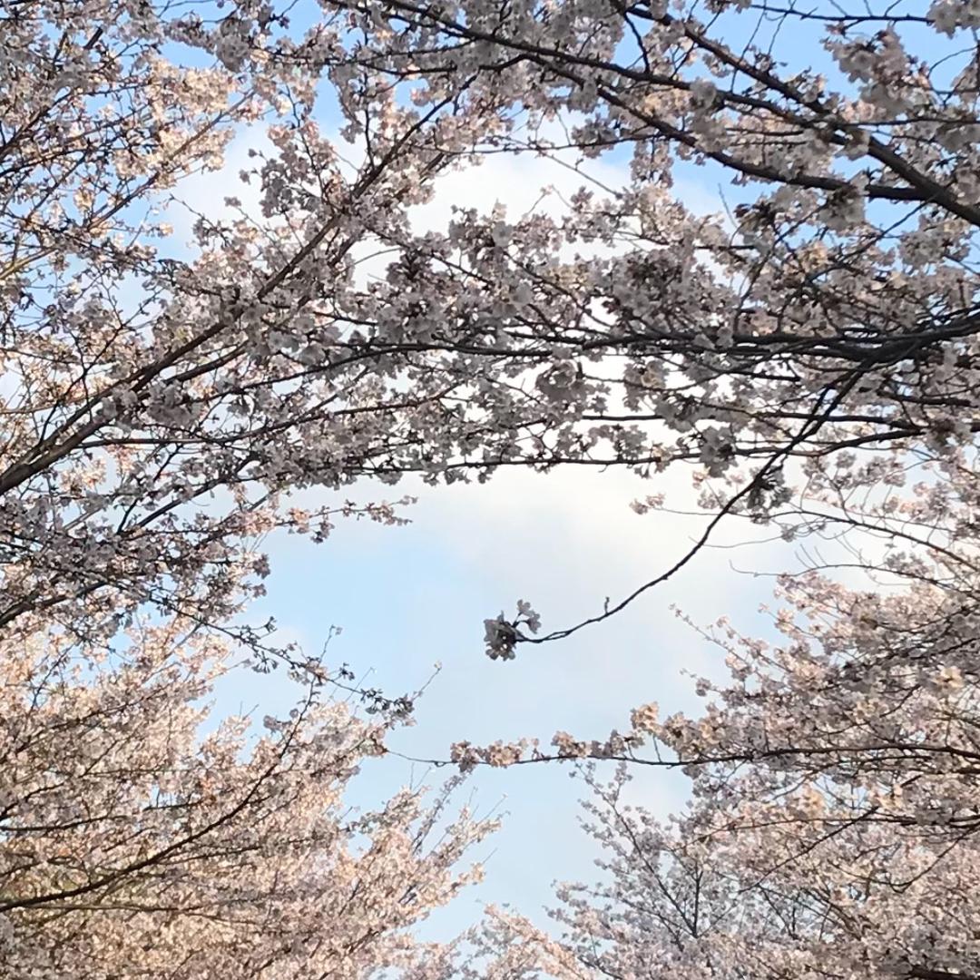 黃姐