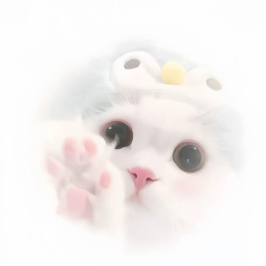 Wangxinr_