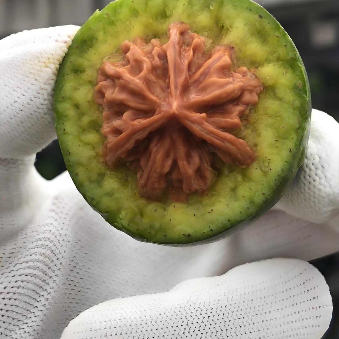 小燕带你逛市场