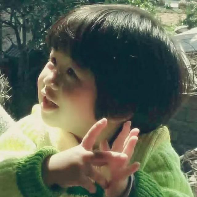 豬寶寳